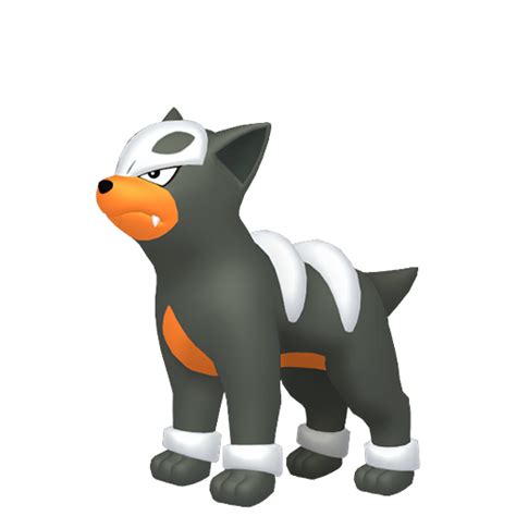 houndour pokemon go.